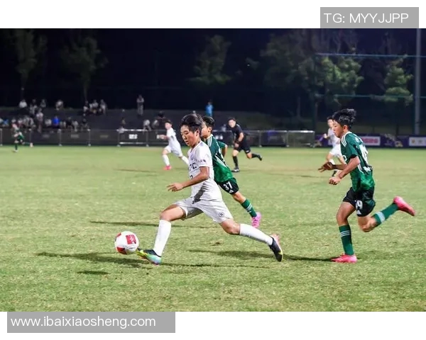 重庆足球队在世界锦标赛中的技术表现分析与点评